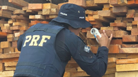 PRF apreende 39,9 m³ de madeira nativa transportada ilegalmente em Bela Vista do Maranhão