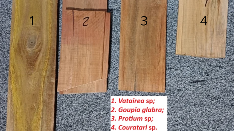 Porto Franco (MA) - PRF