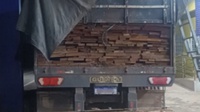PRF flagra transporte irregular de madeira nativa na BR-230, em Balsas (MA)
