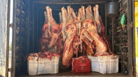 PRF flagra transporte irregular de quase seis toneladas de carne bovina na BR-230, em Balsas (MA)