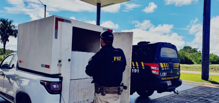 WhatsApp Image 2022-04-04 at 12.15.24.jpeg