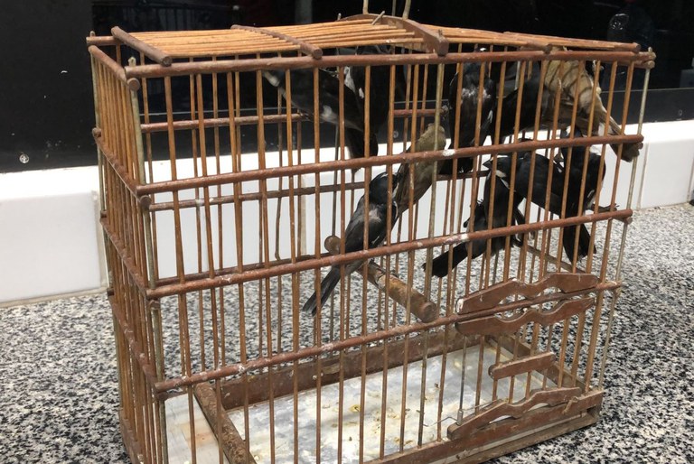 WhatsApp Image 2022-04-04 at 09.02.31 (2).jpeg