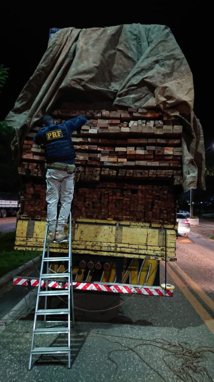 Apreensão de madeira 