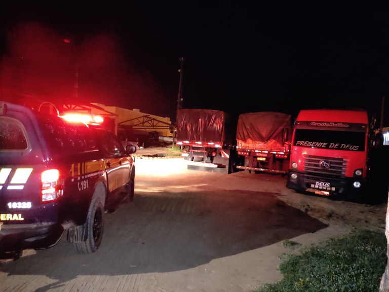 Apreensão de madeira