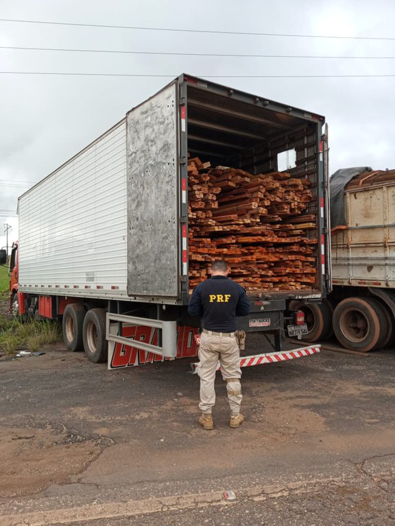 Lignum madeira transportada em baú.jpeg