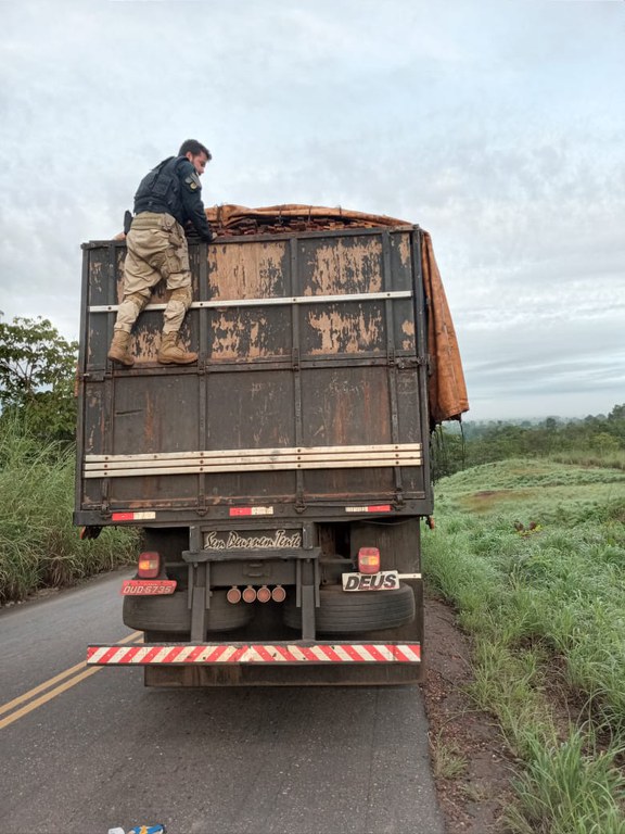 O maranhão vem se especializando na fiscalização e apreensão de produto florestal