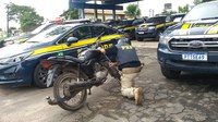 Motociclista é flagrado pela PRF cometendo crime de trânsito na BR-316