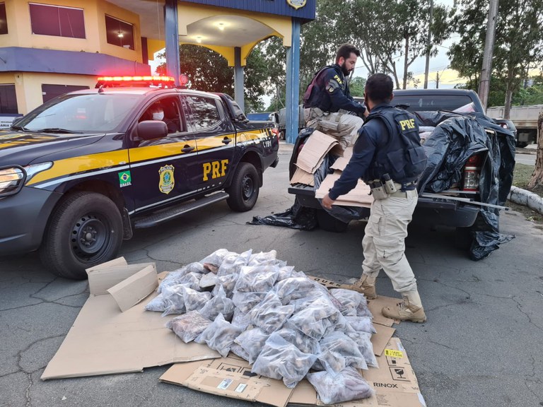 WhatsApp Image 2022-01-13 at 10.13.45.jpeg