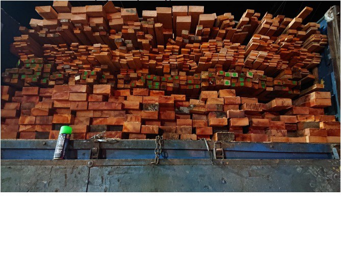 WhatsApp Image 2022-06-19 at 11.04.38.jpeg