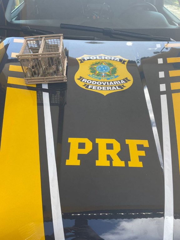 WhatsApp Image 2022-06-13 at 08.14.36.jpeg