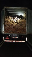 PRF apreende 33m³ de Madeira transportada ilegalmente entre Vitoria Do Mearim e Viana-MA