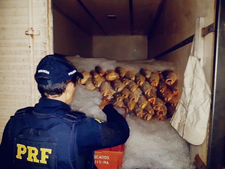 WhatsApp Image 2022-03-29 at 08.24.20 (1).jpeg