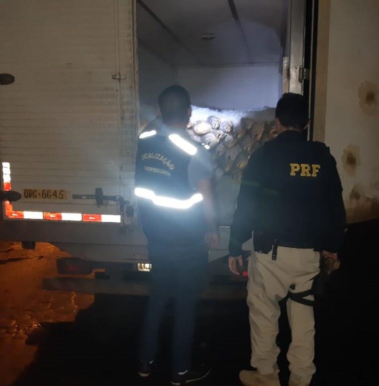 WhatsApp Image 2022-03-29 at 08.24.20.jpeg