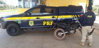 Condutora inabilitada e gerando perigo de dano é flagrada pela PRF na BR-230