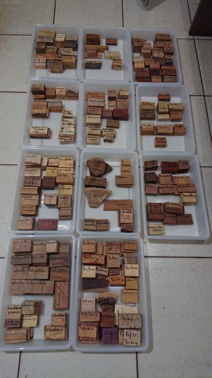 WhatsApp Image 2022-03-28 at 12.42.10.jpeg