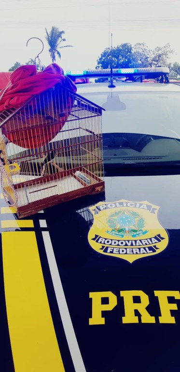 WhatsApp Image 2022-03-29 at 08.54.26.jpeg