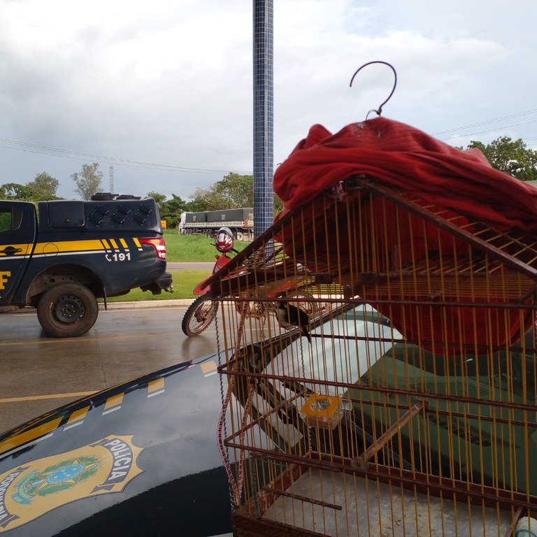 WhatsApp Image 2022-03-29 at 08.54.48.jpeg