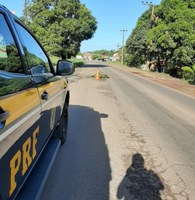 Sem CNH: condutor inabilitado se envolve em acidente na BR-135