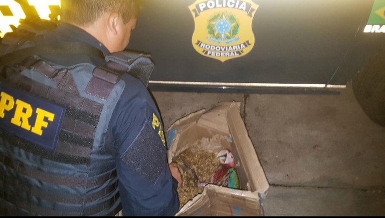 Animais transportados em ambiente inadequado