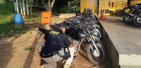 BR-316: Sem habilitação e com documento vencido, motociclista foge da PRF, mas tem a moto apreendida