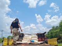 PRF apreende mais de 6 toneladas de queijo transportado de forma irregular