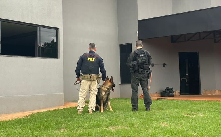 WhatsApp Image 2023-12-15 at 09.06.02.jpeg