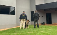 FICCO/MS no combate ao tráfico de armas e de drogas