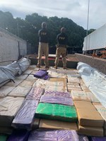 PRF apreende 7,6 toneladas de maconha em Ribas do Rio Pardo (MS)