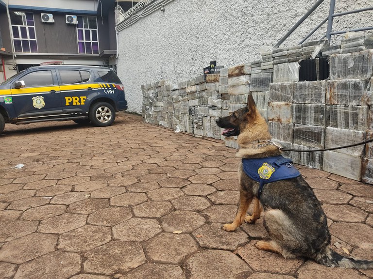 Maior apreensão de cocaína da história da PRF/MS