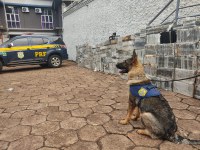 Maior apreensão de cocaína da história da Polícia Rodoviária Federal