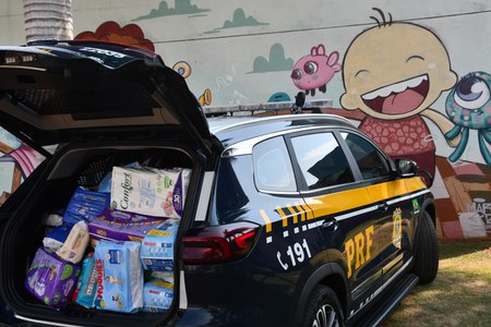 Fraldas arrecadadas durante a Campanha