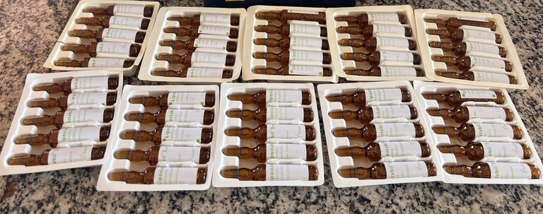 Imagem do WhatsApp de 2024-04-09 à(s) 11.06.39_96c1e752.jpg