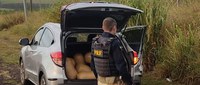 PRF apreende 257 Kg de maconha e skunk em Eldorado (MS)