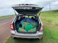 PRF apreende 333 Kg de maconha e prende batedor da carga em Caarapó (MS)
