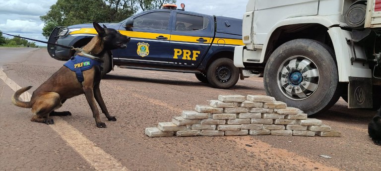 Imagem do WhatsApp de 2024-04-01 à(s) 13.31.10_00d31cf0.jpg