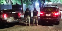 PRF apreende 829 Kg de maconha e recupera veículo em Anastácio (MS)