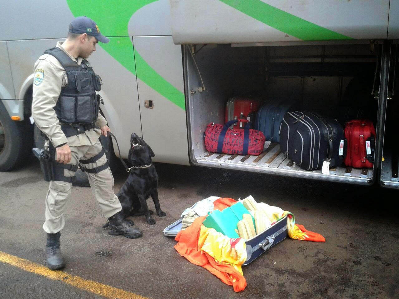 PRF-MS se despede da K9 Meg