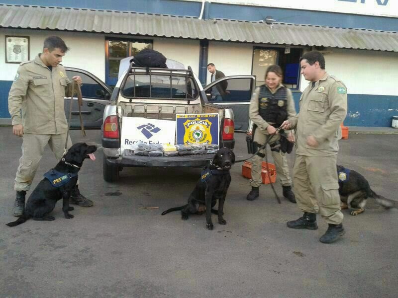 PRF-MS se despede da K9 Meg