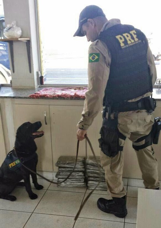 PRF-MS se despede da K9 Meg