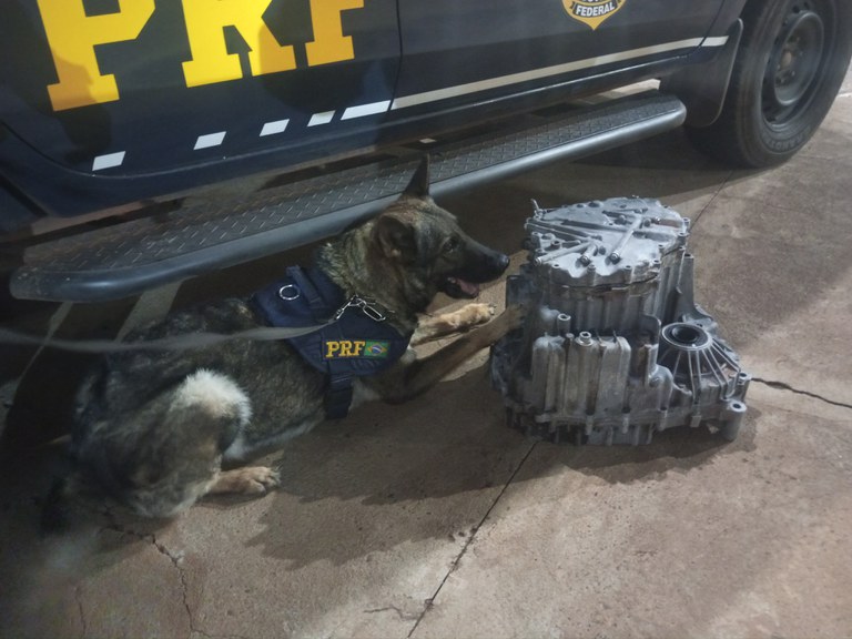 Com ajuda de cães farejadores, PRF apreende droga em encomenda com destino a São Paulo em Água Clara (MS)
