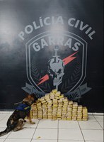 Com ajuda de cães farejadores, PRF e GARRAS apreende 126,9 Kg de cocaína em Campo Grande (MS)