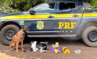 Em ação conjunta, PRF e Correios apreendem maconha e haxixe dentro de encomendas em Campo Grande (MS)