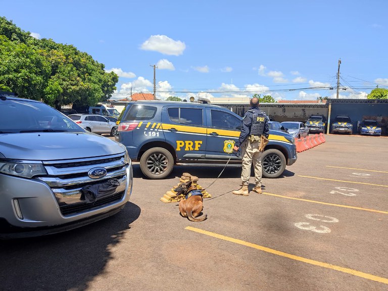 WhatsApp Image 2024-01-07 at 10.18.55.jpeg