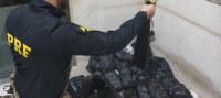 PRF apreende 61 Kg de cabelo humano em Nova Andradina (MS)
