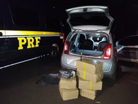 PRF apreende 156,9 kg de maconha e skunk em Mundo Novo (MS)