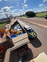 PRF apreende 9,4 toneladas de maconha em Nova Andradina (MS)