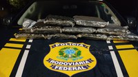 PRF apreende maconha em ônibus em Três Lagoas (MS)