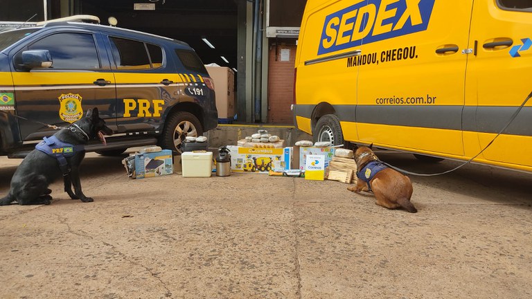 Imagem do WhatsApp de 2024-03-28 à(s) 10.21.10_2a68be7a.jpg