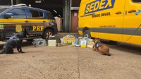 Com auxílio de cães de faro, PRF e Correios realizam operação de combate ao narcotráfico em Campo Grande (MS)
