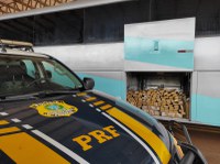 PRF apreende 554 Kg de maconha em Ponta Porã (MS)